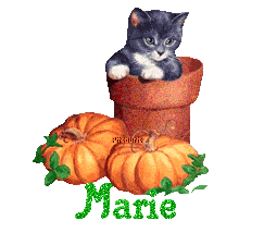 chat1993