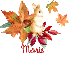 automne21191