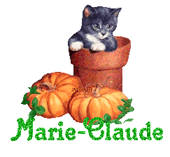 chat1993