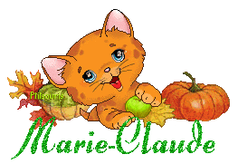 chat1992