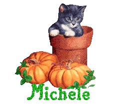 chat1993