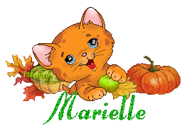chat1992