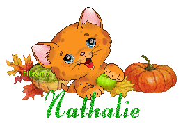 chat1992