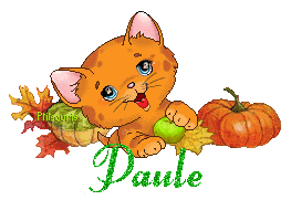 chat1992