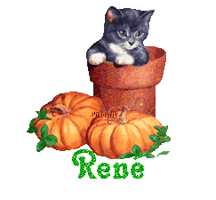 chat1993