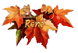 automne21094