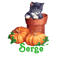 chat1993