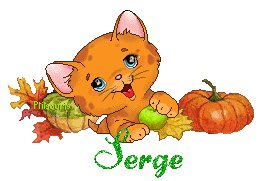 chat1992