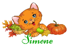 chat1992