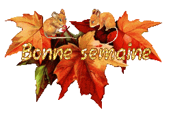 automne21094