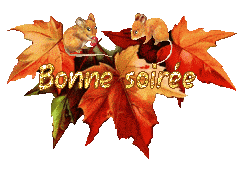 automne21094