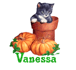 chat1993