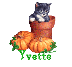 chat1993