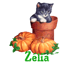 chat1993