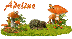 automne21107