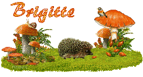 automne21107