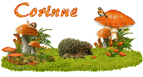 automne21107