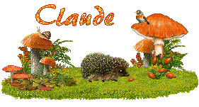 automne21107