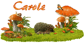 automne21107