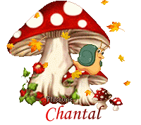 champ-20107