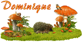 automne21107