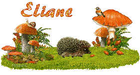 automne21107