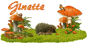 automne21107