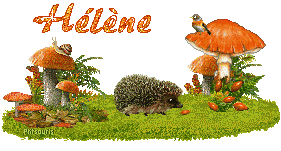automne21107