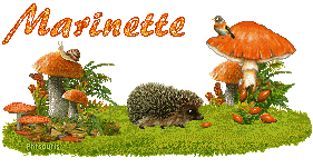 automne21108