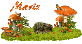 automne21107