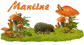 automne21107