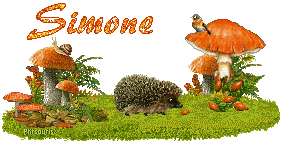 automne21107