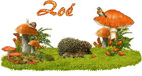 automne21107