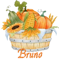 automne22100