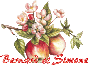 automne23122
