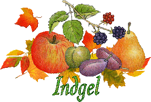 automne22101