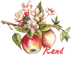 automne23122