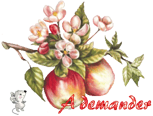 automne23122