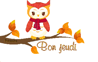 hibou-aut1