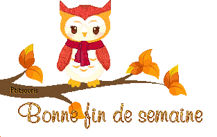 hibou-aut1
