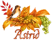 oiseau-aut2