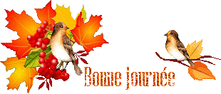 automn-oiseau1