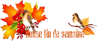 automn-oiseau1