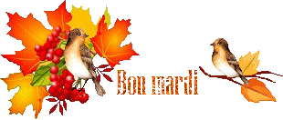 automn-oiseau1