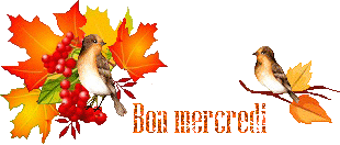 automn-oiseau1