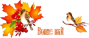 automn-oiseau1