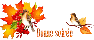 automn-oiseau1