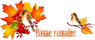 automn-oiseau1