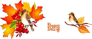 automn-oiseau1