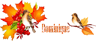 automn-oiseau1